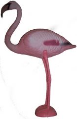 Flamingo png