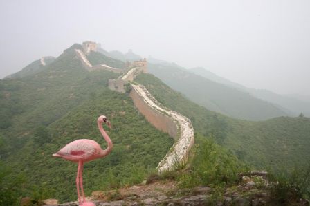 Flamingo Great Wall