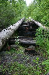 Scary bridge to cross...